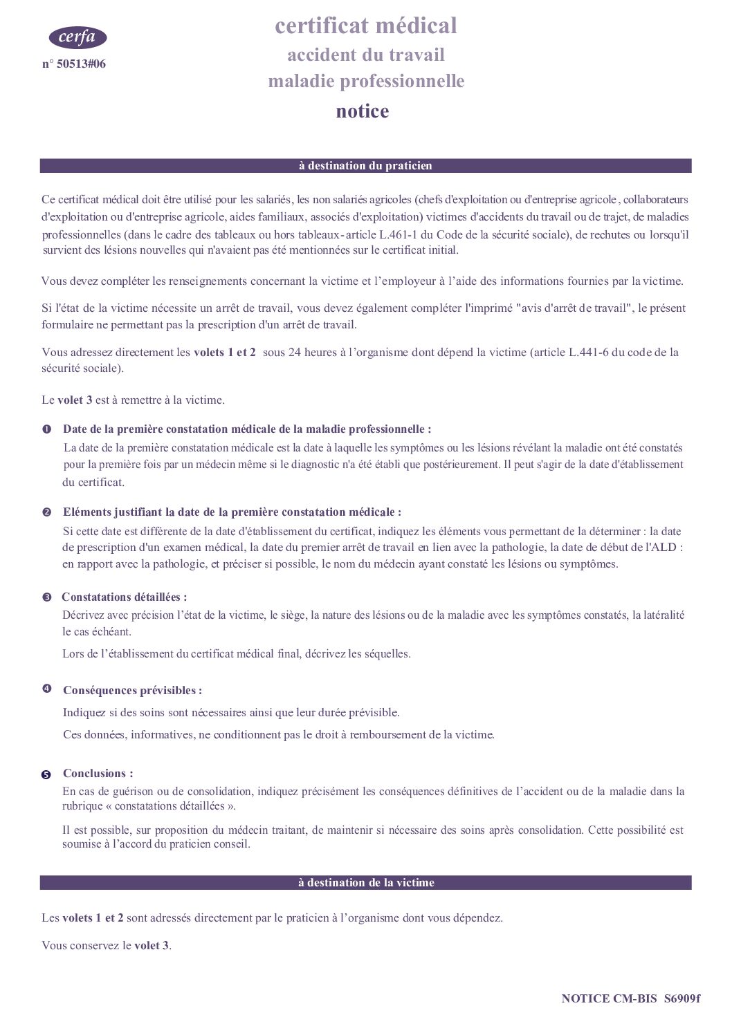 Cerfa 11138-06 Certificat accident de travail